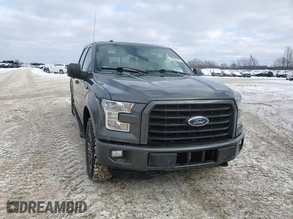 2016 Ford F-150 XLT with VIN 1FTFW1EGXGFC50163, listed as a Copart auction lot 42385325 with 140,396 mi miles and Clean Title. Bid and sale history available at carsss.com. Image 13.