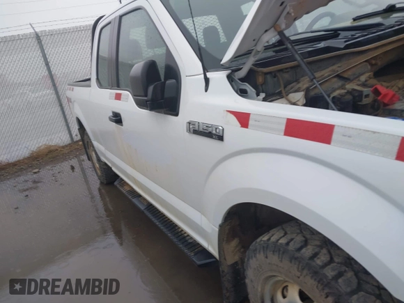 2019 Ford F-150 XL с VIN 1FTEX1EB8KKD00670, выставлен на аукционе IAAI как лот 42121709 с пробегом 96 521 миль миль и . История ставок и продаж доступна на DreamBid. Изображение 19.