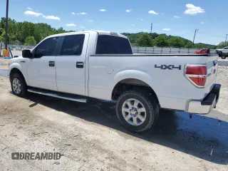 2013 Ford F-150 XL with VIN 1FTFW1EF8DFA22715, listed as a Copart auction lot 57919985 with 243,124 mi miles and Salvage title. Bid and sale history available at DreamBid. Image 2.