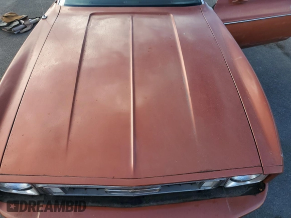1973 Ford Mustang с VIN 3F04H211483, выставлен на аукционе Copart как лот 46838105 с пробегом 65 171 миль миль и Чистый • Clean title. История ставок и продаж доступна на DreamBid. Изображение 11.