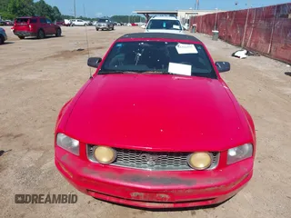 2009 Ford Mustang with VIN 1ZVHT84N795112662, listed as a IAAI auction lot 42322437 with Not provided miles and . Bid and sale history available at DreamBid. Image 6.
