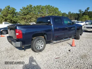 2009 Chevrolet Silverado 1500 LT with VIN 2GCEC23C491102403, listed as a Copart auction lot 74260974 with 161,318 mi miles and Salvage Title. Bid and sale history available at DreamBid. Image 3.