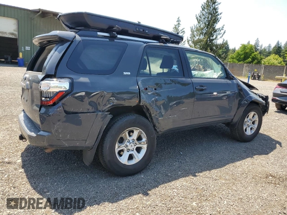 2024 Toyota 4Runner SR5 with VIN JTEMU5JR5R6215525, listed as a Copart auction lot 59391125 with 13,084 mi miles and Salvage title. Bid and sale history available at DreamBid. Image 3.