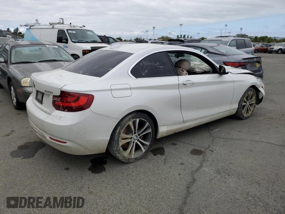 2016 BMW 2 Series 228i with VIN WBA1F9C57GV545699, listed as a Copart auction lot 51140674 with 135,024 mi miles and Clean Title. Bid and sale history available at carsss.com. Image 3.