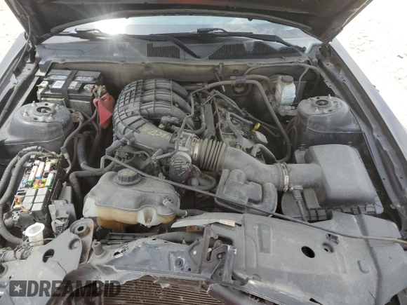 2013 Ford Mustang V6 with VIN 1ZVBP8AM7D5276010, listed as a Copart auction lot 53842395 with 0 mi miles and Clean Title. Bid and sale history available at carsss.com. Image 11.