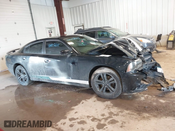 2014 Dodge Charger SXT with VIN 2C3CDXJG0EH296568, listed as a IAAI auction lot 41665615 with 114,056 mi miles. Bid and sale history available at carsss.com. Image 13.