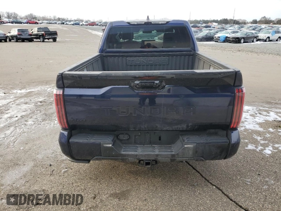 2022 Toyota Tundra Platinum with VIN 5TFNA5DB3NX010399, listed as a Copart auction lot 88658185 with 28,045 mi miles and Salvage title. Bid and sale history available at DreamBid. Image 6.