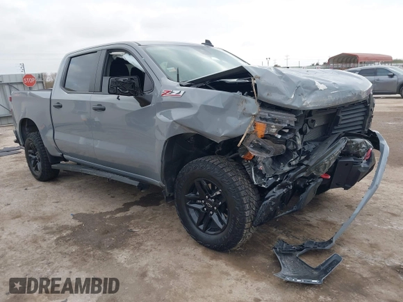 2024 Chevrolet Silverado 1500 Custom Trail Boss with VIN 3GCUDCED6RG410099, listed as a IAAI auction lot 41245352 with 10,482 mi miles. Bid and sale history available at carsss.com. Image 1.