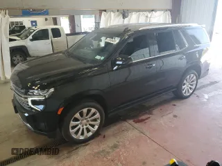 2024 Chevrolet Tahoe Premier с VIN 1GNSKSKD3RR380482, выставлен на аукционе Copart как лот 61808485 с пробегом 8 538 миль миль и Списание • Salvage title. История ставок и продаж доступна на DreamBid. Изображение 1.