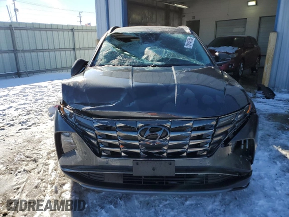 2024 Hyundai Tucson Limited with VIN 5NMJECDE1RH365037, listed as a Copart auction lot 45140755 with 14,393 mi miles and Salvage Title. Bid and sale history available at carsss.com. Image 5.