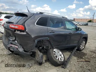 2014 Jeep Cherokee Limited with VIN 1C4PJLDB8EW256206, listed as a Copart auction lot 61712925 with 75,666 mi miles and Salvage title. Bid and sale history available at DreamBid. Image 3.