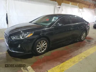 2019 Hyundai Sonata SE with VIN 5NPE24AF1KH807563, listed as a Copart auction lot 49001865 with Not Provided miles and Clean Title. Bid and sale history available at carsss.com. Image 1.