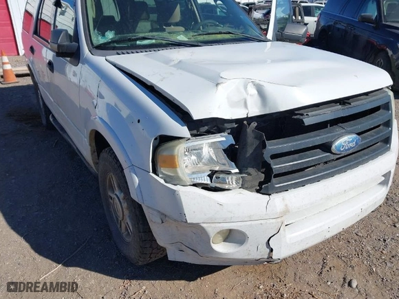 2009 Ford Expedition SSV with VIN 1FMFU16589EA78609, listed as a IAAI auction lot 41501401 with 338,726 mi miles. Bid and sale history available at carsss.com. Image 6.