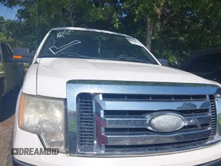 2009 Ford F-150 XL with VIN 1FTPW14V49FB30463, listed as a IAAI auction lot 42603992 with 218,856 mi miles and . Bid and sale history available at DreamBid. Image 6.