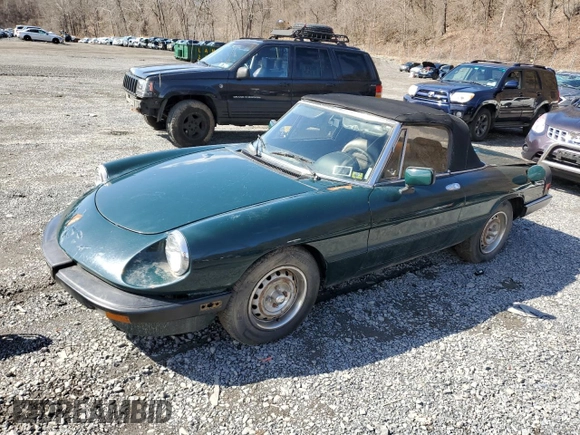 1983 Alfa Romeo Spider Veloce z VIN ZARBA541XD1016802, wystawiony jako Copart lot #51383595 z przebiegiem 127 904 mil mil oraz Czysty tytuł • Clean title. Historia ofert i sprzedaży dostępna na DreamBid. Obrazek 1.