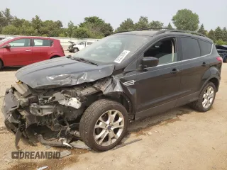 2013 Ford Escape SE with VIN 1FMCU0GXXDUA98419, listed as a Copart auction lot 59233695 with 151,615 mi miles and Salvage title. Bid and sale history available at DreamBid. Image 1.