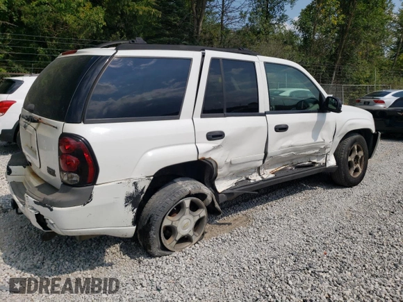 2006 Chevrolet TrailBlazer LS with VIN 1GNDT13S362357608, listed as a Copart auction lot 68828434 with 173,608 mi miles and Salvage Title. Bid and sale history available at DreamBid. Image 3.