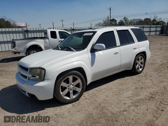 2006 Chevrolet TrailBlazer LT with VIN 1GNES13H162311299, listed as a Copart auction lot 48756625 with 94,240 mi miles and Salvage Title. Bid and sale history available at carsss.com. Image 1.