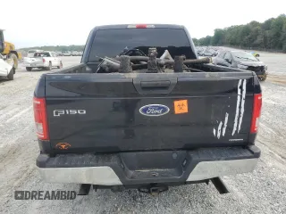 2016 Ford F-150 XL with VIN 1FTEW1CF2GFA22809, listed as a Copart auction lot 57218375 with Not provided miles and Salvage title. Bid and sale history available at DreamBid. Image 6.