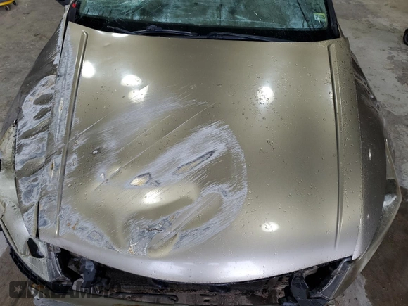 2009 Honda Accord LX-P with VIN 1HGCP26419A105248, listed as a Copart auction lot 53159575 with Not Provided miles and Salvage Title. Bid and sale history available at DreamBid. Image 11.