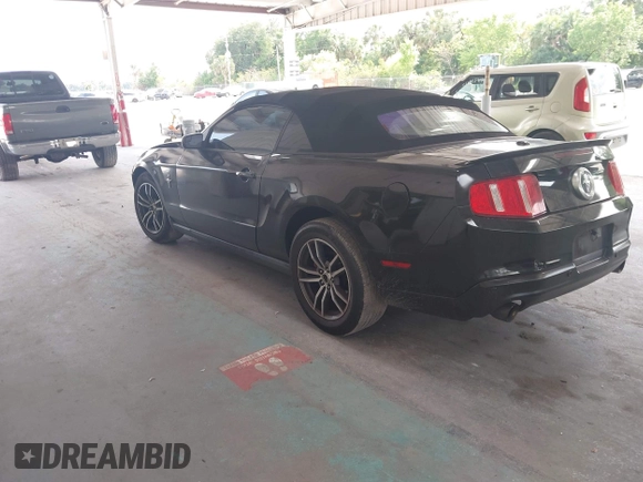 2012 Ford Mustang V6 with VIN 1ZVBP8EMXC5204579, listed as a IAAI auction lot 42240673 with 177,917 mi miles and . Bid and sale history available at DreamBid. Image 3.
