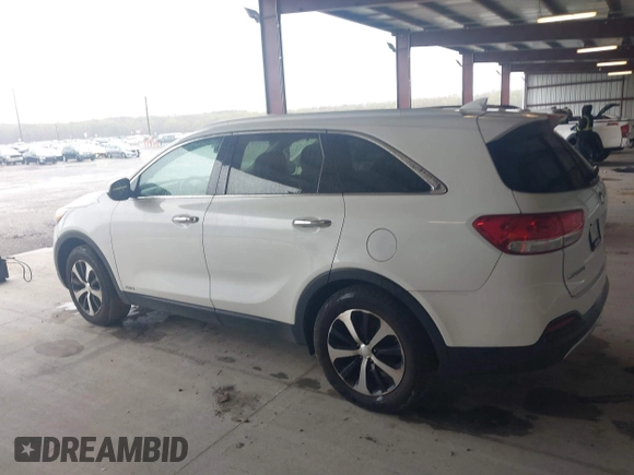 2017 Kia Sorento EX with VIN 5XYPHDA12HG278345, listed as a IAAI auction lot 42024881 with 119,502 mi miles and . Bid and sale history available at carsss.com. Image 14.
