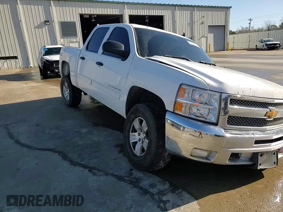 2013 Chevrolet Silverado 1500 LT with VIN 3GCPCSE04DG359394, listed as a Copart auction lot 48547555 with 214,435 mi miles and Salvage Title. Bid and sale history available at DreamBid. Image 10.