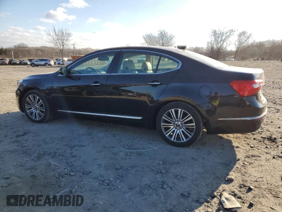 2014 Kia Cadenza Premium with VIN KNALN4D71E5161624, listed as a Copart auction lot 46148195 with 138,563 mi miles and Clean Title. Bid and sale history available at carsss.com. Image 2.