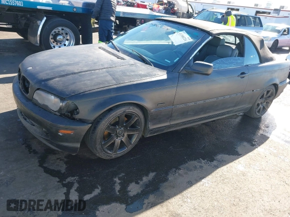 2002 BMW 3 Series 325Ci with VIN WBABS33492PG86133, listed as a IAAI auction lot 41388226 with 174,359 mi miles and . Bid and sale history available at DreamBid. Image 12.