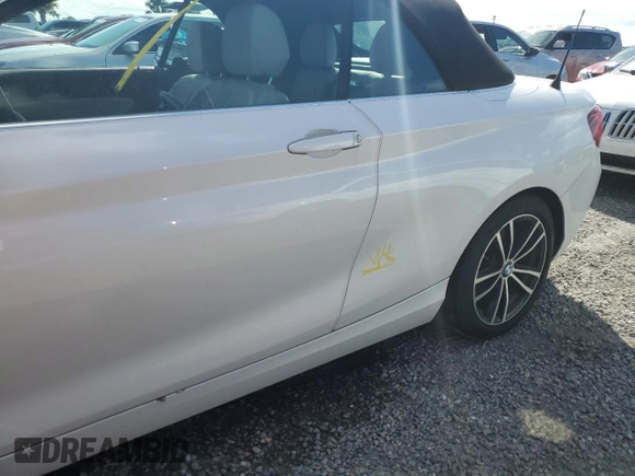 2020 BMW 2 Series 230i with VIN WBA2M7C02L7D87129, listed as a Copart auction lot 73876264 with 0 mi miles and Salvage Title. Bid and sale history available at carsss.com. Image 12.