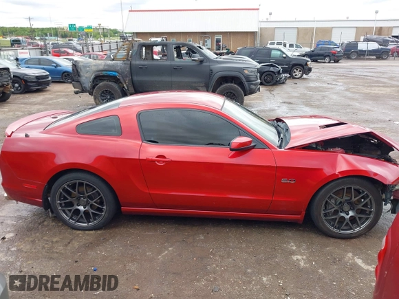 2013 Ford Mustang GT with VIN 1ZVBP8CF5D5209257, listed as a IAAI auction lot 42141198 with 124,462 mi miles and . Bid and sale history available at DreamBid. Image 14.