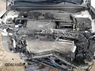 2020 Hyundai Palisade Limited с VIN KM8R54HE0LU109485, выставлен на аукционе Copart как лот 57971205 с пробегом 82 978 миль миль и На запчасти • Non repairable. История ставок и продаж доступна на DreamBid. Изображение 12.