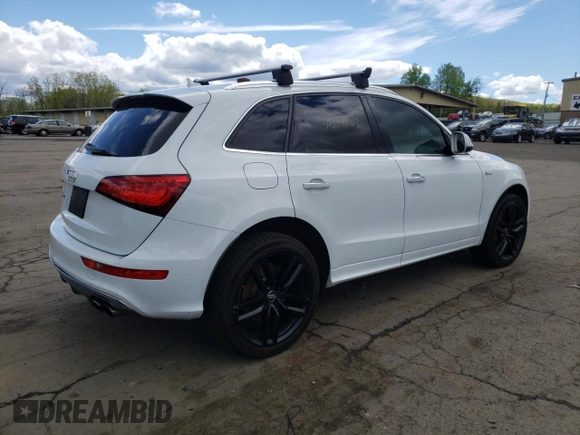 2015 Audi SQ5 Premium Plus with VIN WA1CGAFP7FA081935, listed as a Copart auction lot 51219263 with 107,134 mi miles. Bid and sale history available at carsss.com. Image 3.