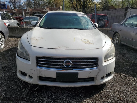 2009 Nissan Maxima 3.5 SV w/Sport Pkg with VIN 1N4AA51EX9C843598, listed as a Copart auction lot 51789415 with 0 mi miles and Salvage Title. Bid and sale history available at carsss.com. Image 5.