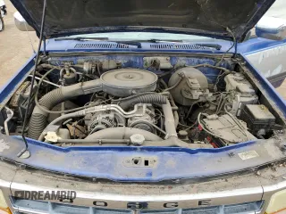 1995 Dodge Dakota z VIN 1B7GG23Y4SS124349, wystawiony jako Copart lot #55723114 z przebiegiem 136 156 mil mil oraz Tytuł czysty. Historia ofert i sprzedaży dostępna na DreamBid. Obrazek 11.