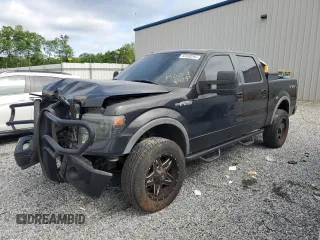 2013 Ford F-150 XL with VIN 1FTFW1EF8DFA98497, listed as a Copart auction lot 55030295 with 231,057 mi miles and Salvage title. Bid and sale history available at DreamBid. Image 1.
