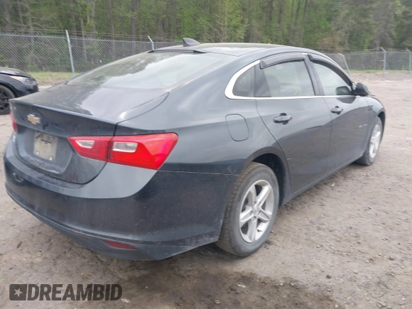2019 Chevrolet Malibu LS with VIN 1G1ZB5ST3KF187099, listed as a IAAI auction lot 41950934 with 67,123 mi miles and . Bid and sale history available at DreamBid. Image 4.
