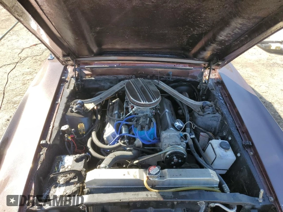 1969 Ford Mustang с VIN 0T01F114848, выставлен на аукционе Copart как лот 47649415 с пробегом Не указан миль и Списание • Salvage title. История ставок и продаж доступна на DreamBid. Изображение 11.