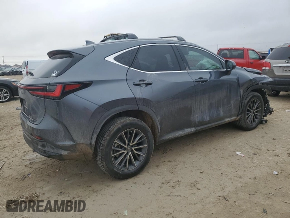 2022 Lexus NX with VIN JTJAGCEZ6N5003825, listed as a Copart auction lot 43038805 with 6,687 mi miles and Salvage Title. Bid and sale history available at carsss.com. Image 3.