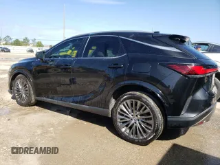 2023 Lexus RX with VIN 2T2BAMBA4PC007824, listed as a Copart auction lot 45815134 with 17,291 mi miles. Bid and sale history available at carsss.com. Image 2.