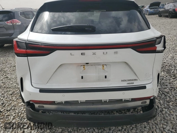 2024 Lexus NX with VIN JTJGKCEZ8R2034364, listed as a Copart auction lot 49850105 with 0 mi miles and Salvage Title. Bid and sale history available at carsss.com. Image 4.