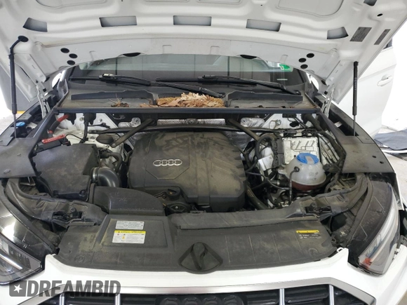 2021 Audi Q5 Premium Plus с VIN WA1BAAFY8M2116172, выставлен на аукционе Copart как лот 60318235 с пробегом 74 921 миль миль и Списание • Salvage title. История ставок и продаж доступна на DreamBid. Изображение 12.