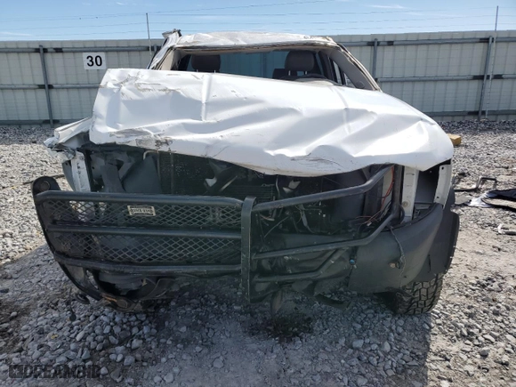 2009 Chevrolet Silverado 1500 Work Truck with VIN 1GCEK19069Z196320, listed as a Copart auction lot 46477195 with 0 mi miles and Salvage Title. Bid and sale history available at carsss.com. Image 5.