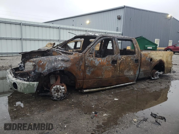 2006 Ford F-150 XL with VIN 1FTPW14V96FB33385, listed as a Copart auction lot 80240884 with 0 mi miles and Non Repairable. Bid and sale history available at carsss.com. Image 1.
