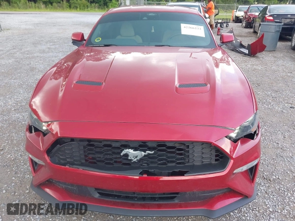 2022 Ford Mustang EcoBoost с VIN 1FA6P8TH0N5114862, выставлен на аукционе IAAI как лот 42266233 с пробегом 20 091 миль миль и . История ставок и продаж доступна на DreamBid. Изображение 18.