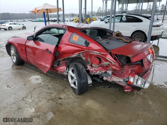 2010 Ford Mustang GT with VIN 1ZVBP8CH0A5148722, listed as a Copart auction lot 47680665 with 171,220 mi miles and Clean Title. Bid and sale history available at carsss.com. Image 2.