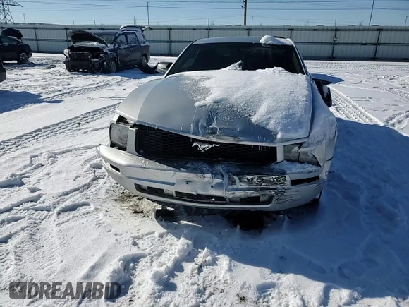 2009 Ford Mustang with VIN 1ZVHT80N595106302, listed as a Copart auction lot 45233005 with 122,399 mi miles and Salvage Title. Bid and sale history available at carsss.com. Image 10.