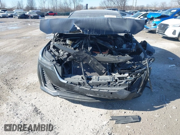 2024 Cadillac CT5 Premium Luxury z VIN 1G6DT5RW6R0108393, wystawiony jako IAAI lot #41404644 z przebiegiem 10 370 mil mil oraz . Historia ofert i sprzedaży dostępna na DreamBid. Obrazek 12.