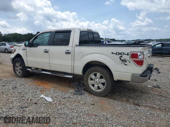 2009 Ford F-150 XL z VIN 1FTPW14V99FA49555, wystawiony jako Copart lot #57954025 z przebiegiem 246 552 mil mil oraz Szkoda całkowita • Salvage title. Historia ofert i sprzedaży dostępna na DreamBid. Obrazek 2.