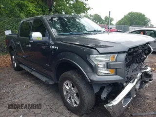 2016 Ford F-150 XLT with VIN 1FTEW1EG4GFB07334, listed as a IAAI auction lot 42278889 with 233,066 mi miles and . Bid and sale history available at DreamBid. Image 13.